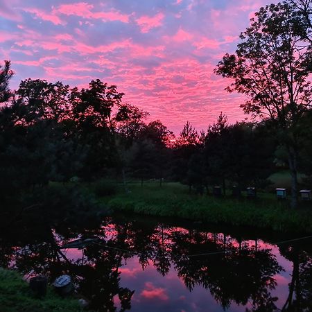 Vila Dubysa Milasaiciai  Экстерьер фото